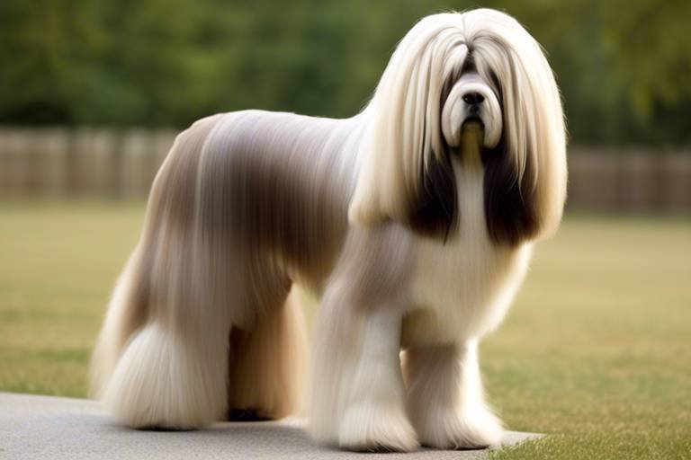 The Unique Grooming Needs of Long-Haired Dog Breeds