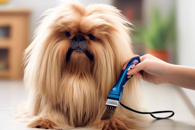 The Importance of Grooming for Indoor Pets