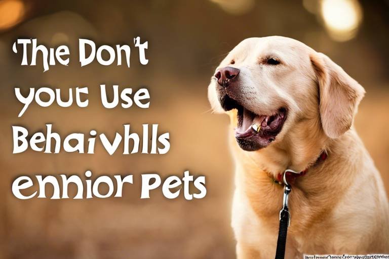 How to Address Behavior Problems in Senior Pets