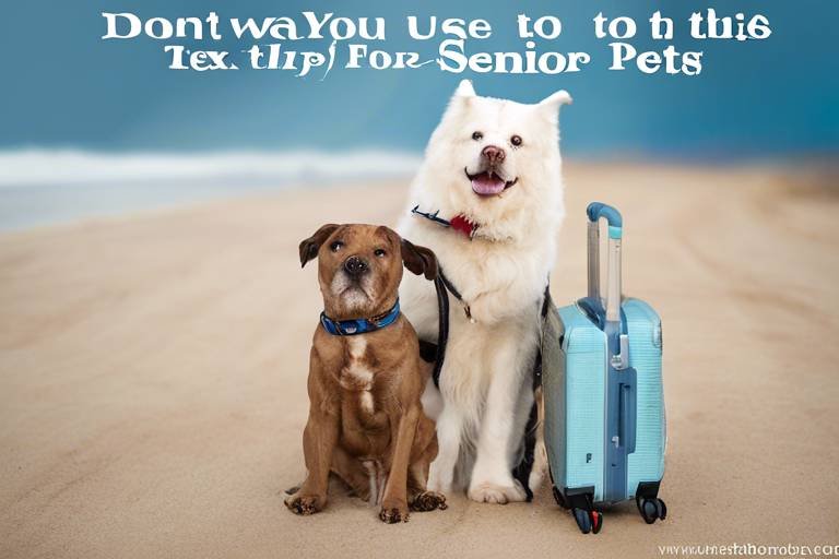 Tips for Traveling with Senior Pets