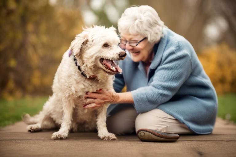 The Role of Play in Senior Pet Health