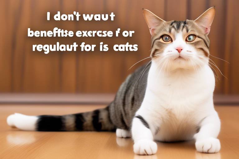 The Benefits of Regular Exercise for Cats