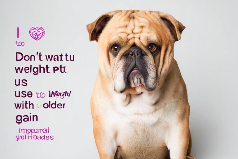 How to Deal with Weight Gain in Older Pets
