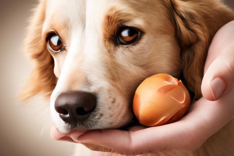 Understanding Pet Digestive Health - Common Issues