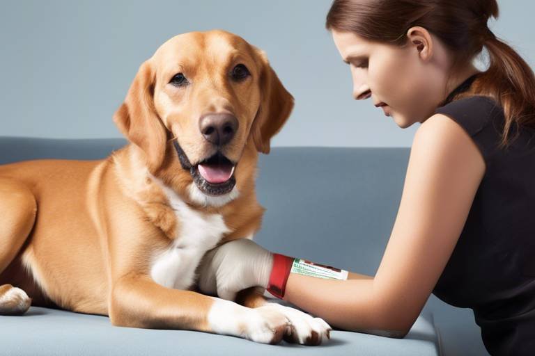 The Role of First Aid in Promoting Pet Wellness