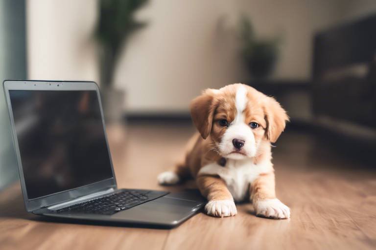 How to Find Pet Adoption Resources Online
