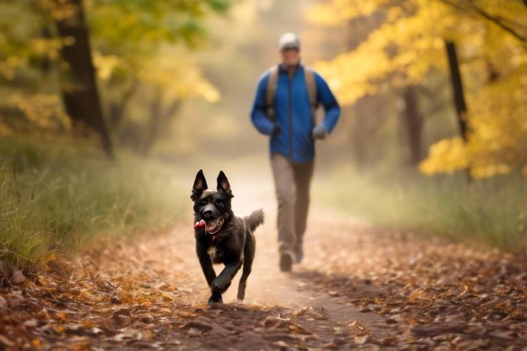 How to Train Your Dog to Follow You Off-Leash