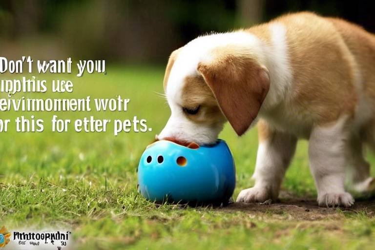 The Importance of Environmental Enrichment for Pets