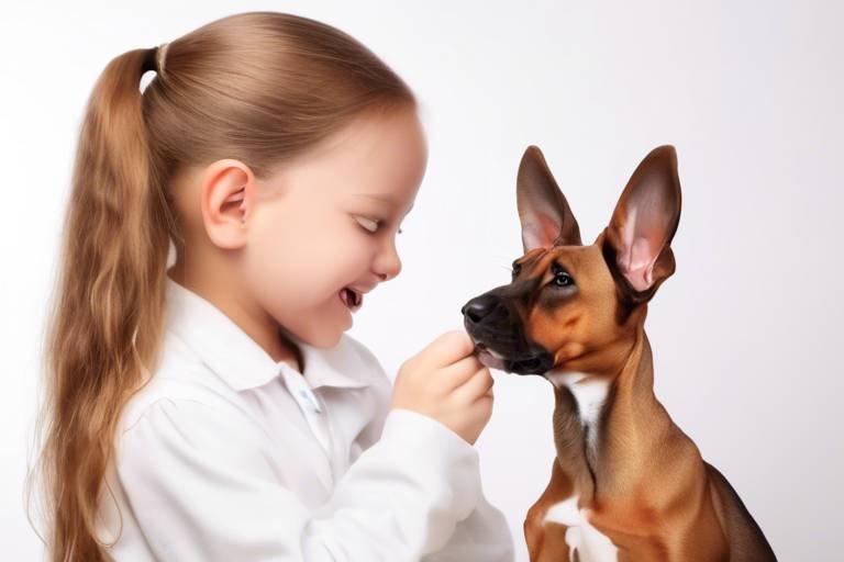 Understanding the Importance of Regular Ear Cleanings