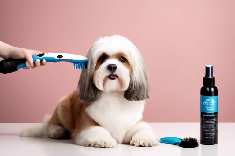 Caring for Your Pet's Coat - Grooming Essentials