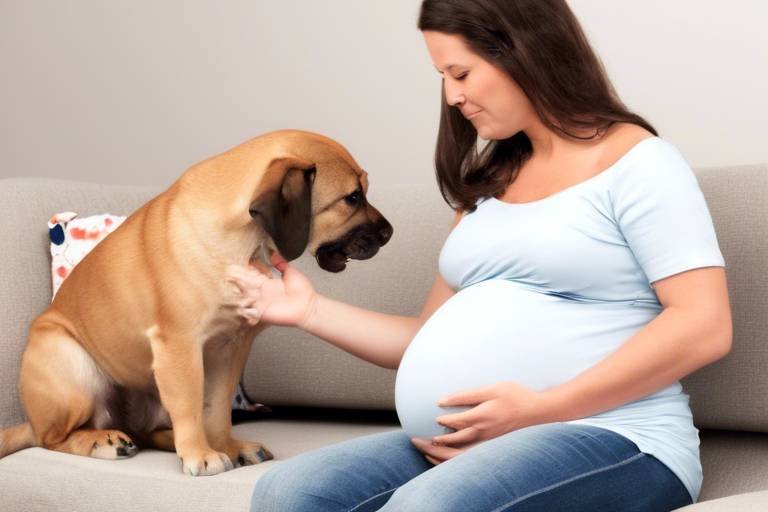 Tips for Safely Caring for Pets During Pregnancy
