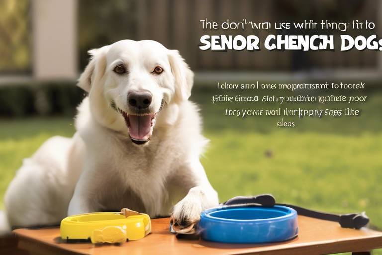 The Benefits of Enrichment Activities for Senior Dogs