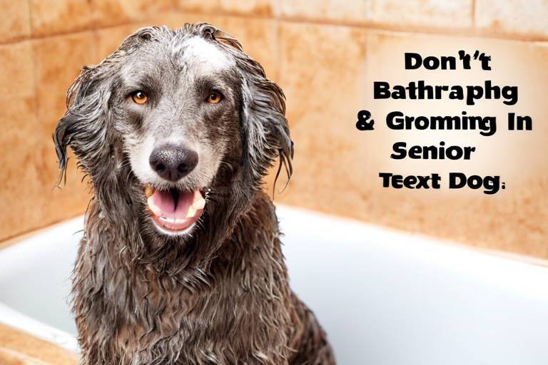 Tips for Bathing and Grooming Senior Dogs