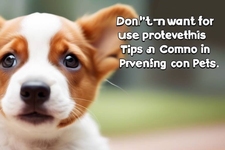 Tips for Preventing Common Injuries in Pets