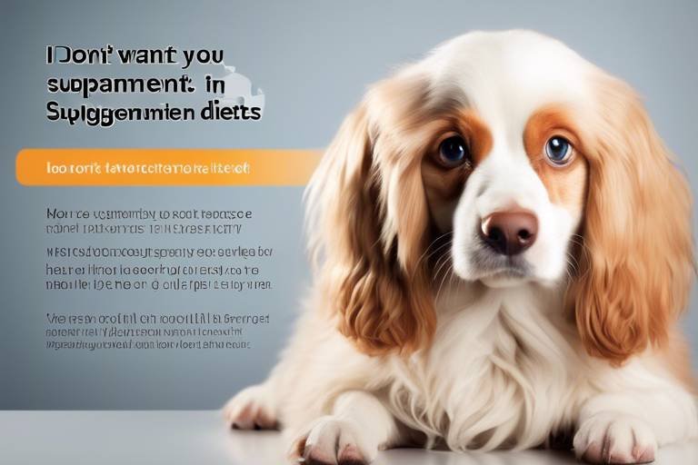 The Benefits of Incorporating Supplements in Pet Diets