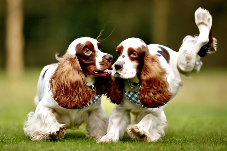 The Playful Spirit of Cocker Spaniels