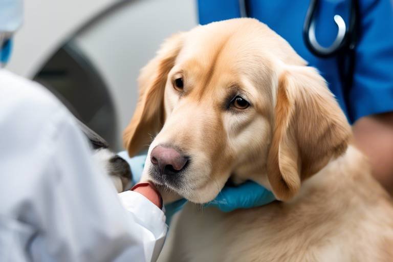The Role of Emergency Veterinary Services in Pet Safety
