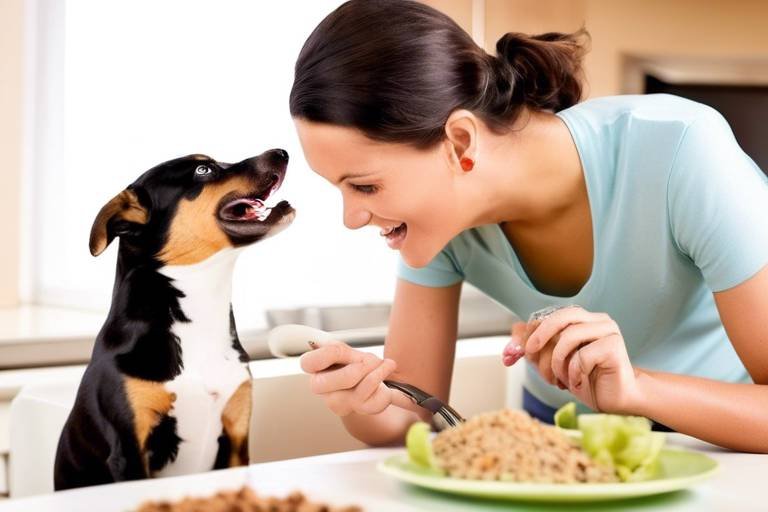 How to Create a Healthy Feeding Schedule for Pets
