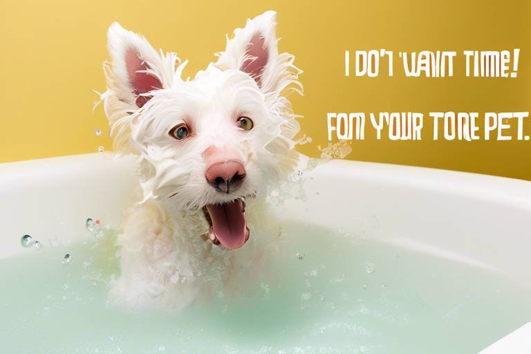 How to Make Bath Time Fun for Your Pet