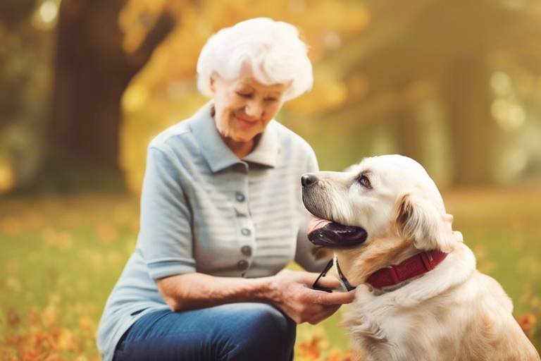 How to Help Senior Pets with Memory Loss
