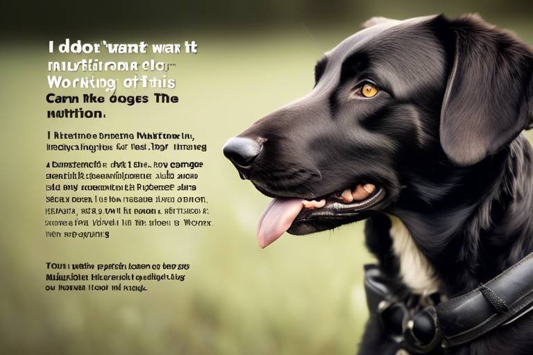 The Importance of Nutrition for Working Dogs