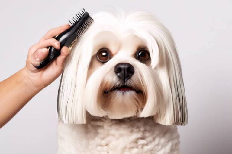 How to Help Your Pet Adjust to a New Grooming Routine