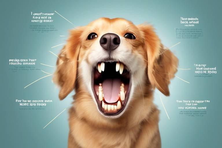 How to Keep Your Pet's Teeth Healthy