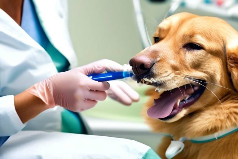 Dental Care for Pets - Why It Matters