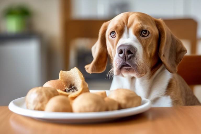 Understanding Changes in Eating Habits in Older Pets