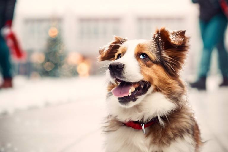 Tips for Pet Travel During Holiday Seasons