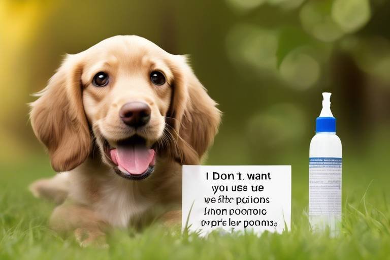 How to Keep Your Pet Safe from Common Poisons