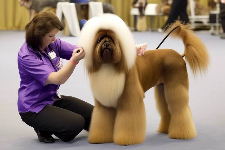 The Importance of Grooming for Show Dogs
