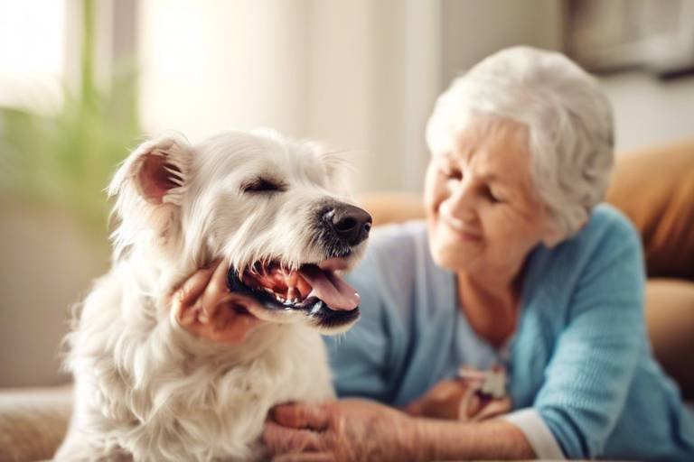 The Best Home Remedies for Senior Pet Ailments