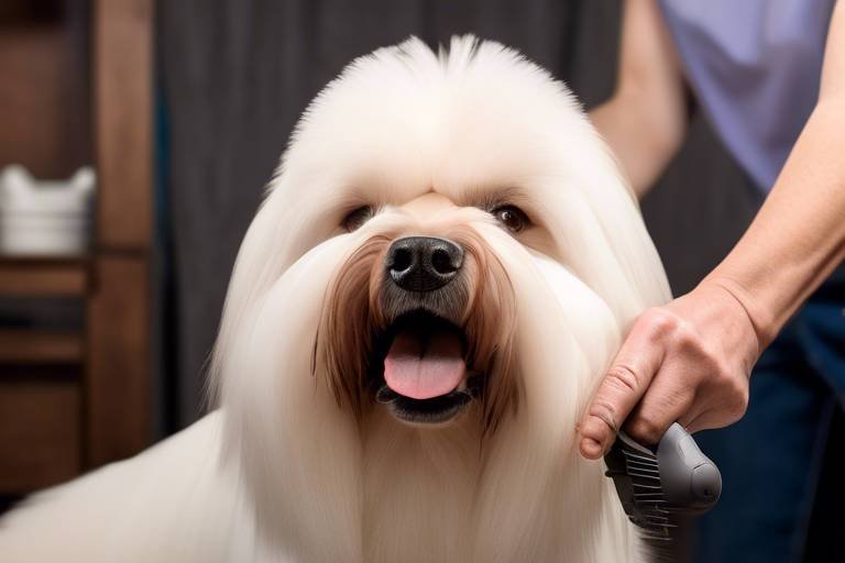 How to Properly Groom a Double-Coated Dog