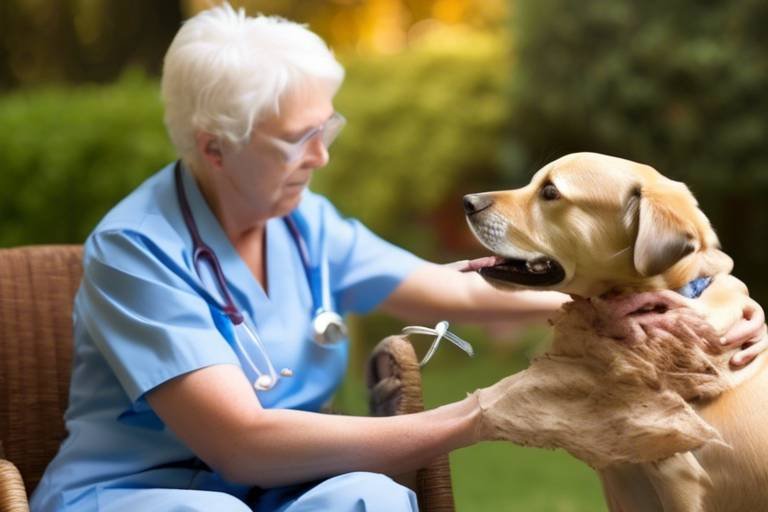 End-of-Life Care - Making the Right Decisions for Your Pet
