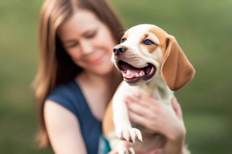 Tips for Managing Pet Adoption Anxiety