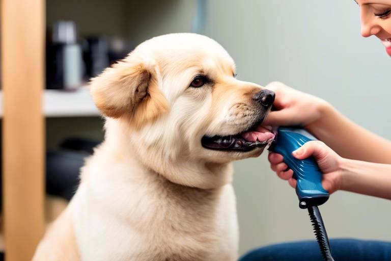 Tips for Training Your Dog to Tolerate Grooming
