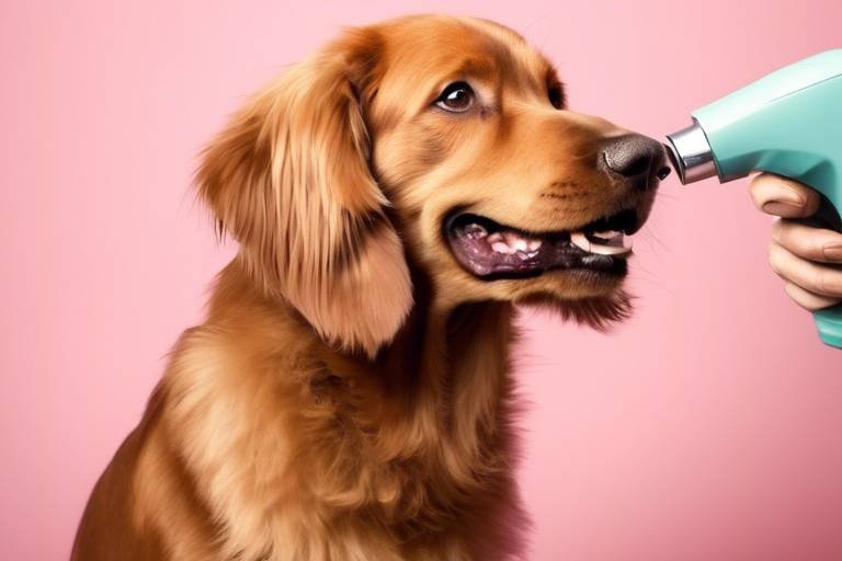How to Use Positive Reinforcement in Grooming