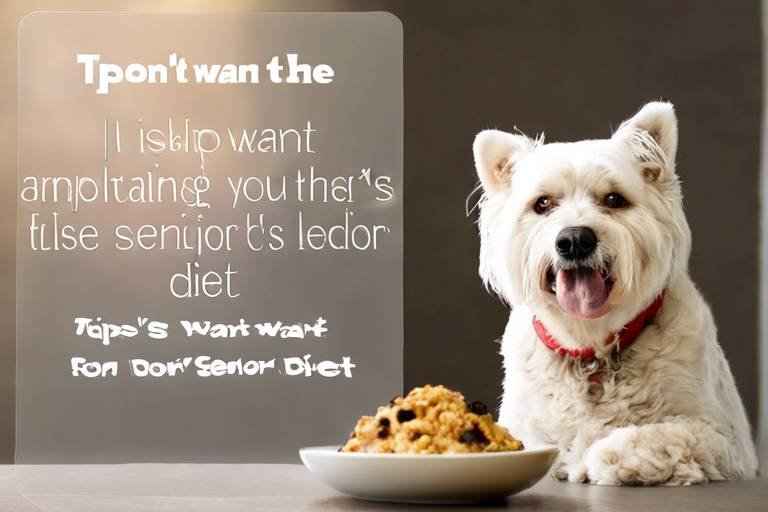 Tips for Adjusting Your Senior Pet's Diet
