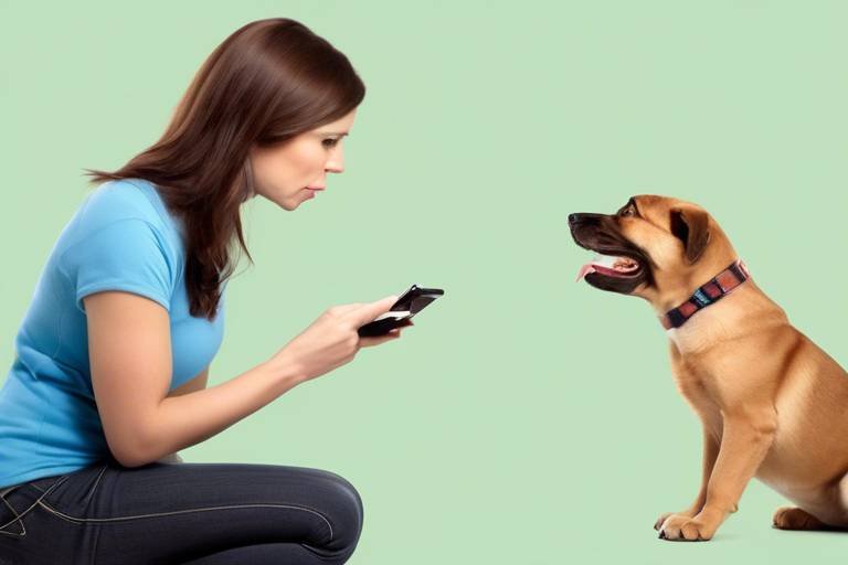 How to Train Your Pet to Respond to Different Commands