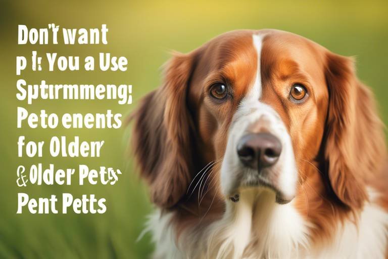 The Benefits of Joint Supplements for Older Pets
