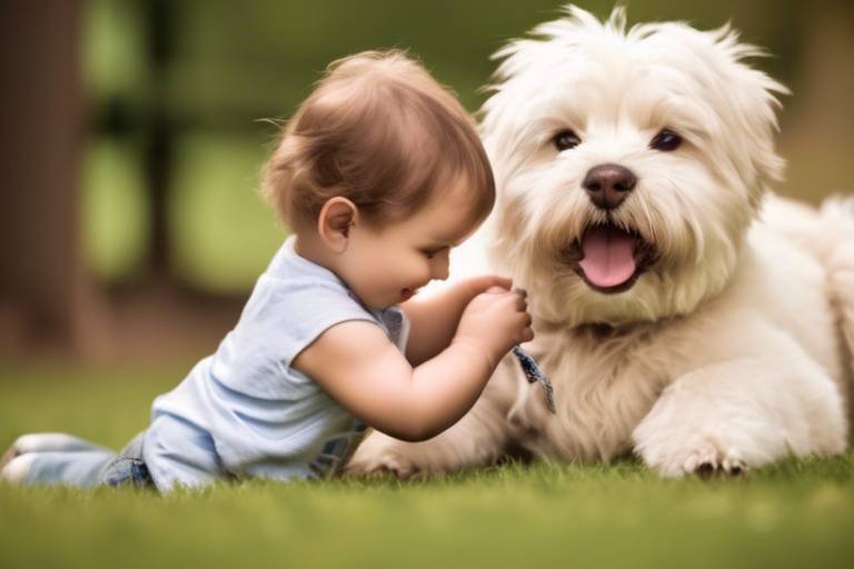 The Best Practices for Introducing a New Pet to Your Family