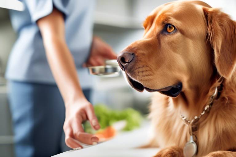 The Importance of Veterinary Guidance in Pet Nutrition