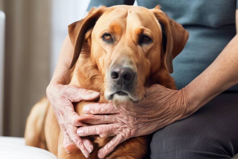 How to Recognize and Manage Pet Arthritis