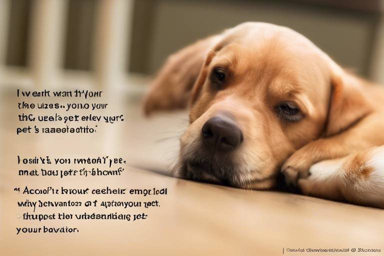 The Importance of Understanding Your Pet's Behavior