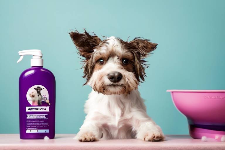 How to Create a Grooming Routine for Busy Pet Owners