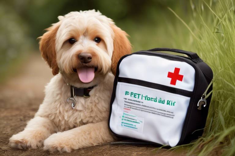 The Importance of a Pet First Aid Kit
