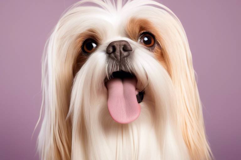 The Best Grooming Techniques for Flat-Faced Breeds