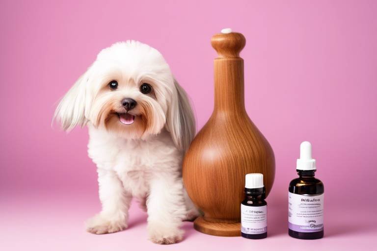 How to Use Essential Oils Safely for Pet Grooming