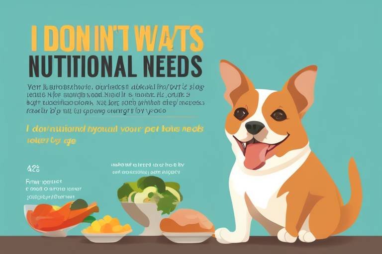 Understanding Your Pet's Nutritional Needs by Age